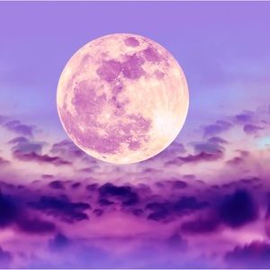 Meet your Posher, Holly